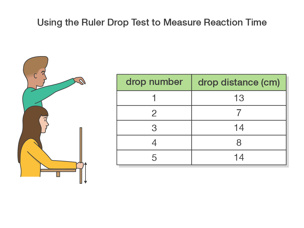 Spice Of Lyfe Physics Calculating Reaction Time